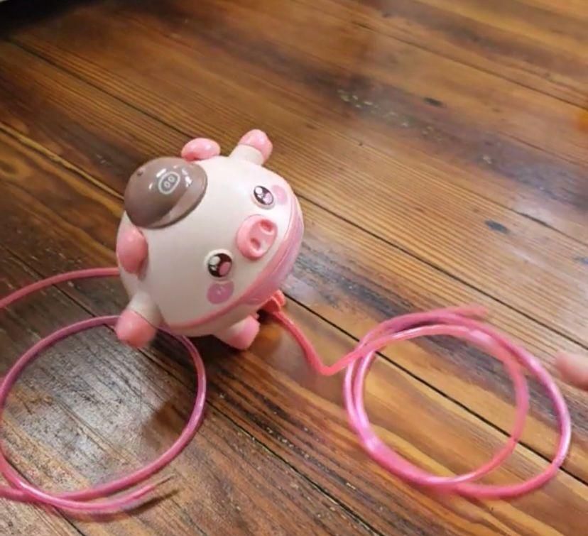 Walking pig toy